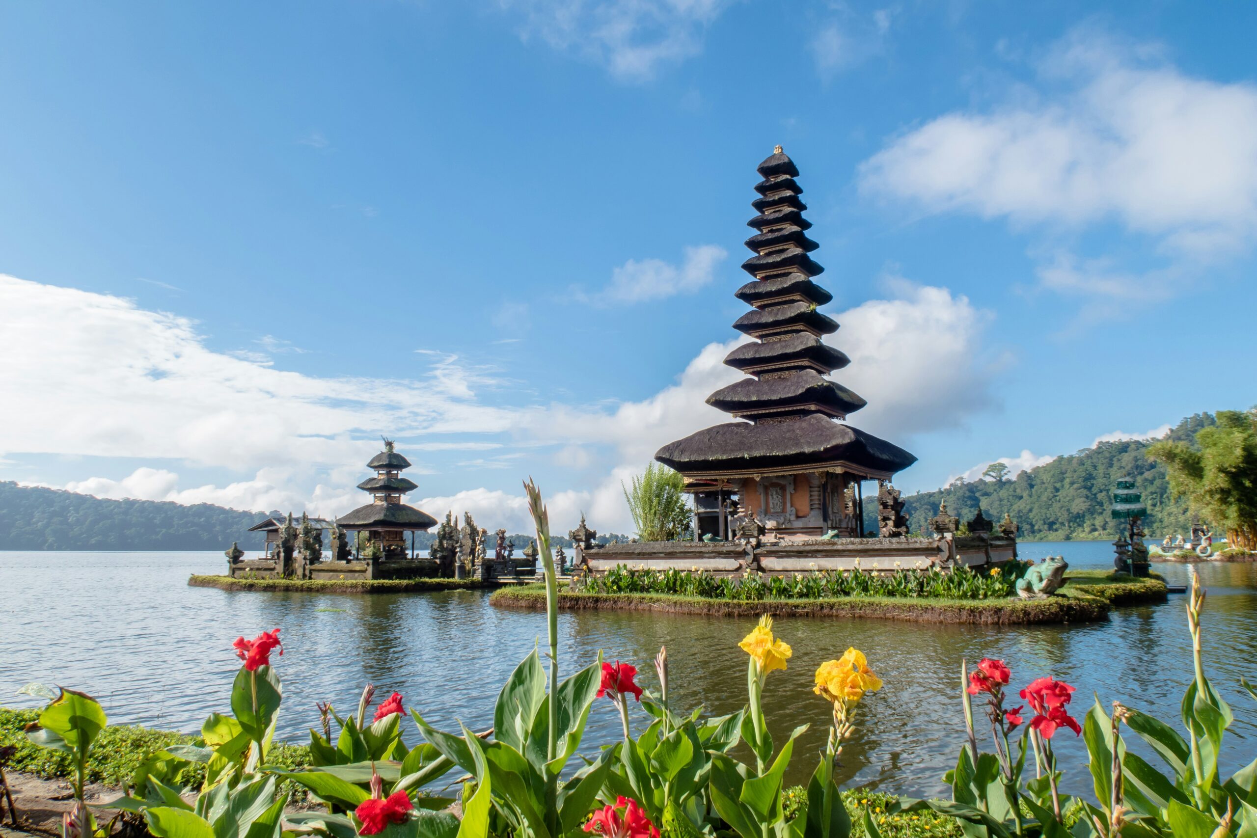 Indonesia · próximamente en ShelAtlas