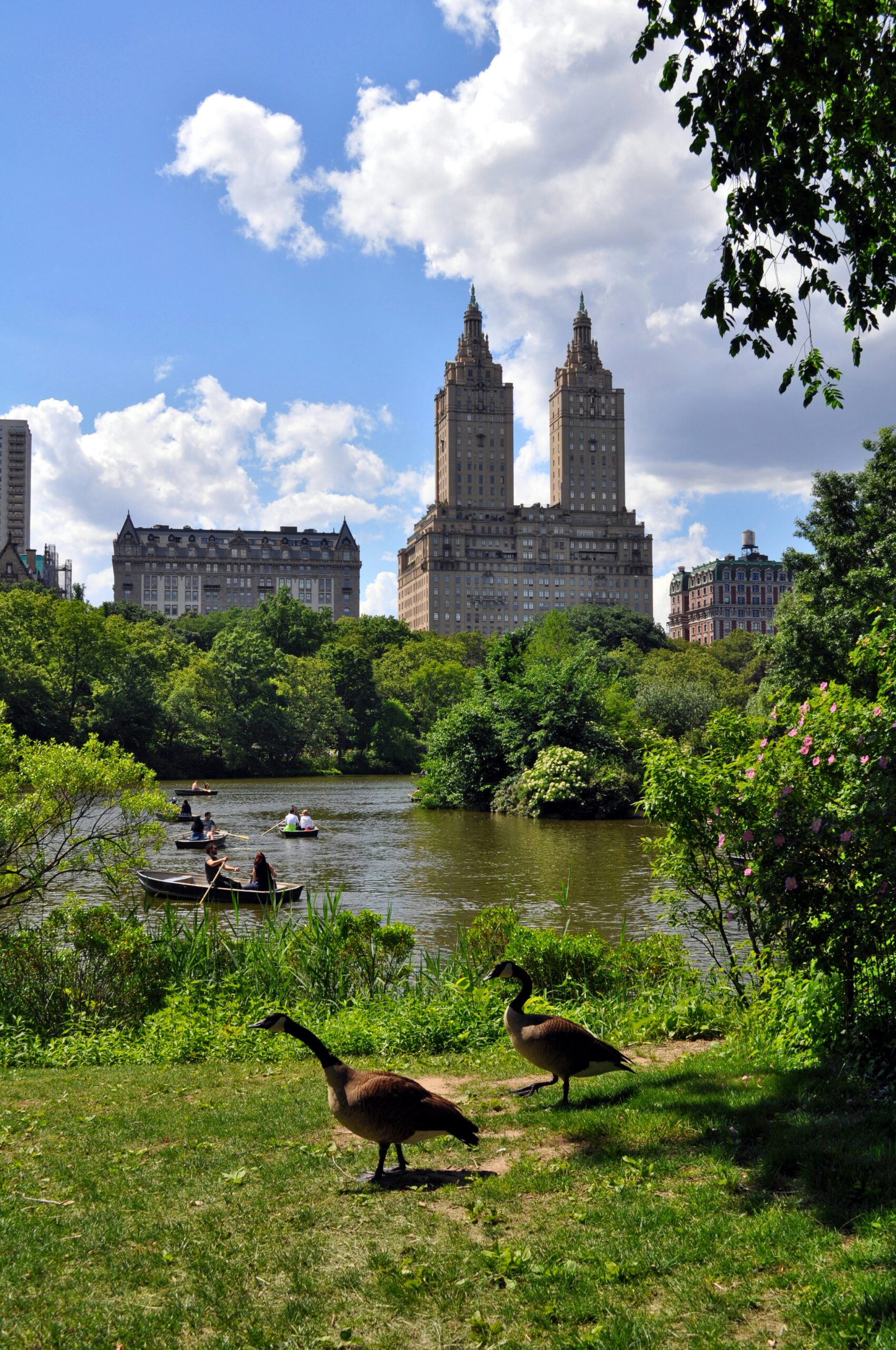 Nueva York · América · ShelAtlas