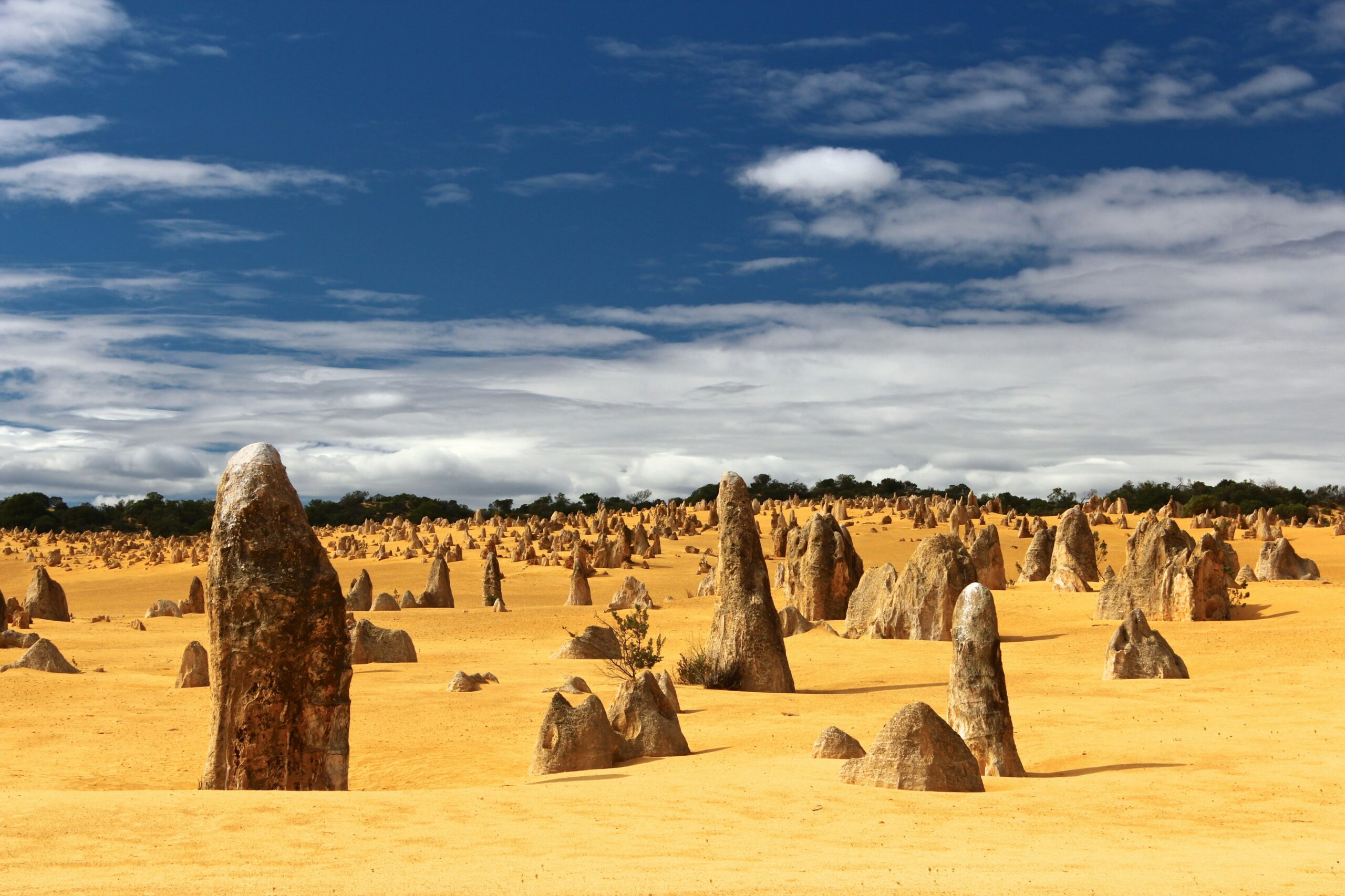 Pilares de piedra caliza del desierto de Los Pinnacles al atardecer en Nambung National Park · excursión desde Perth · ShelAtlas